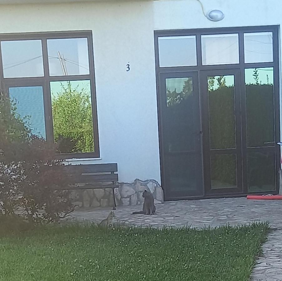 Villa Ketli Apartment Bliznatsi Exteriér fotografie